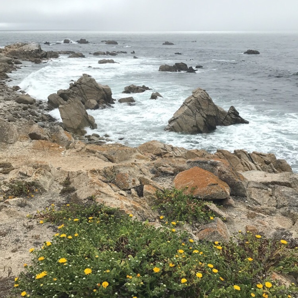 Meet your Posher, Aishani